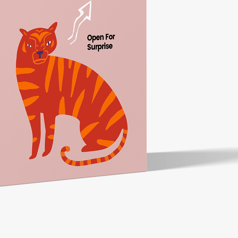 shop-5-gallery-img-4 a